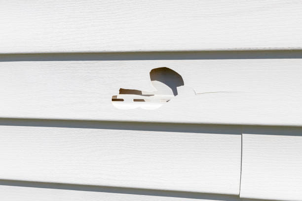 Best Storm Damage Siding Repair  in North Industry, OH